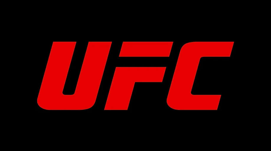 UFC 301